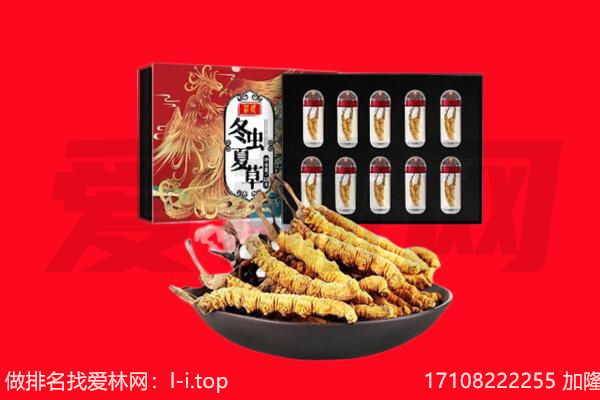 朔州市回收虫草.jpg